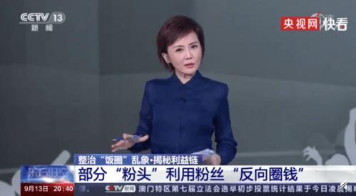 央视爆料粉条视频大全,央视曝光视频大全深度解析