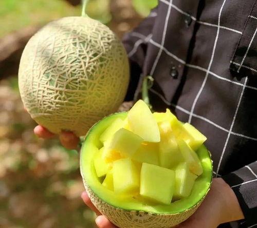 保定娱乐圈吃瓜系统,揭秘幕后风云，吃瓜群众狂欢盛宴  第3张