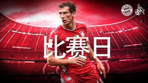 今日爆料者联盟解析最新,最新动态深度解析  第2张