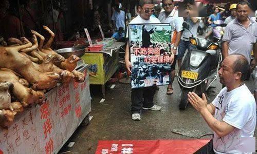 贵港宠物店爆料事件最新,揭露行业黑幕，宠物权益引关注  第1张